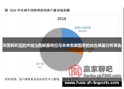 深度解析加的夫城当前联赛地位与未来发展前景的综合展望分析报告